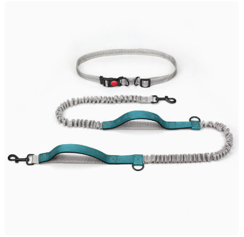 Stretch Running Leash